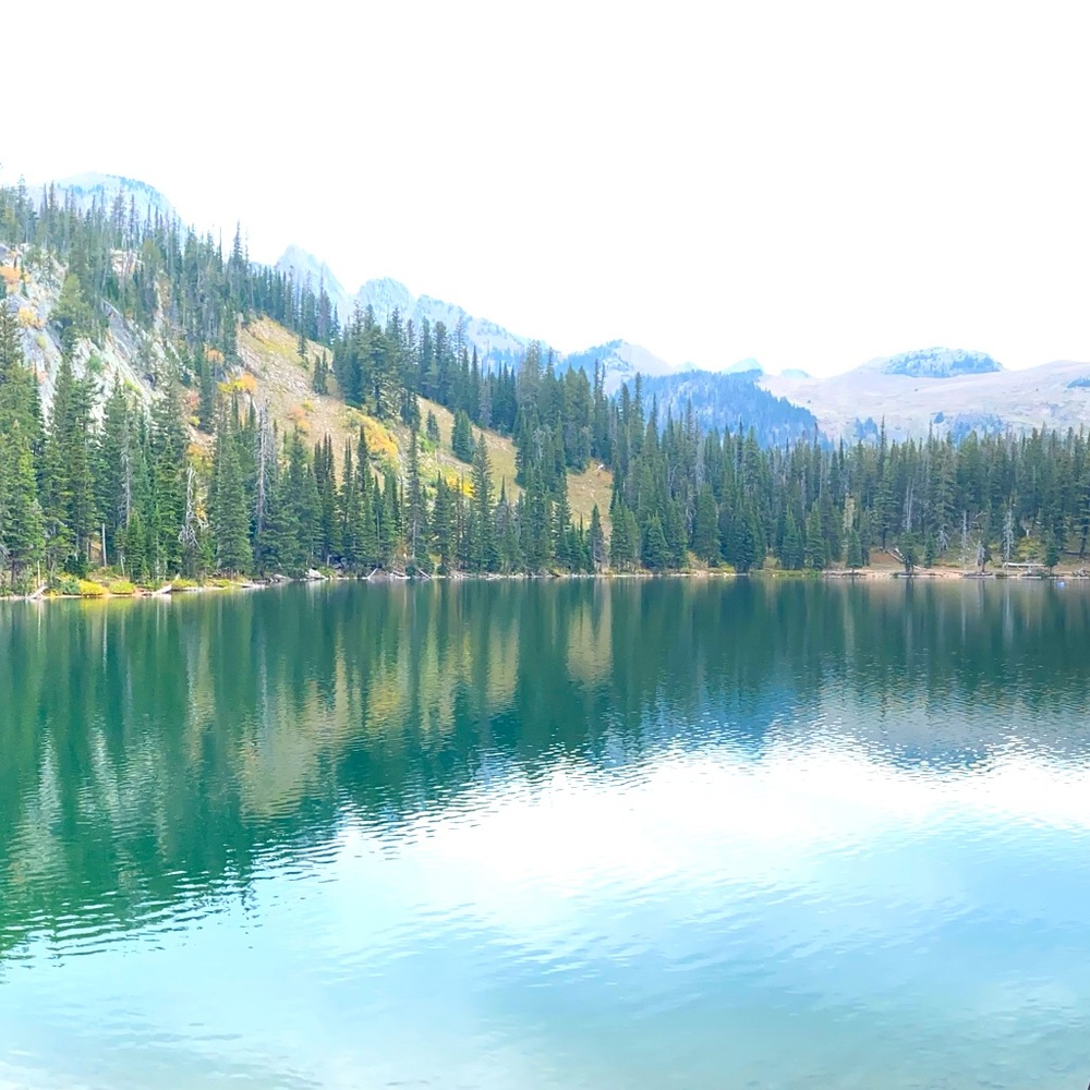 Meet your Posher, Rachael